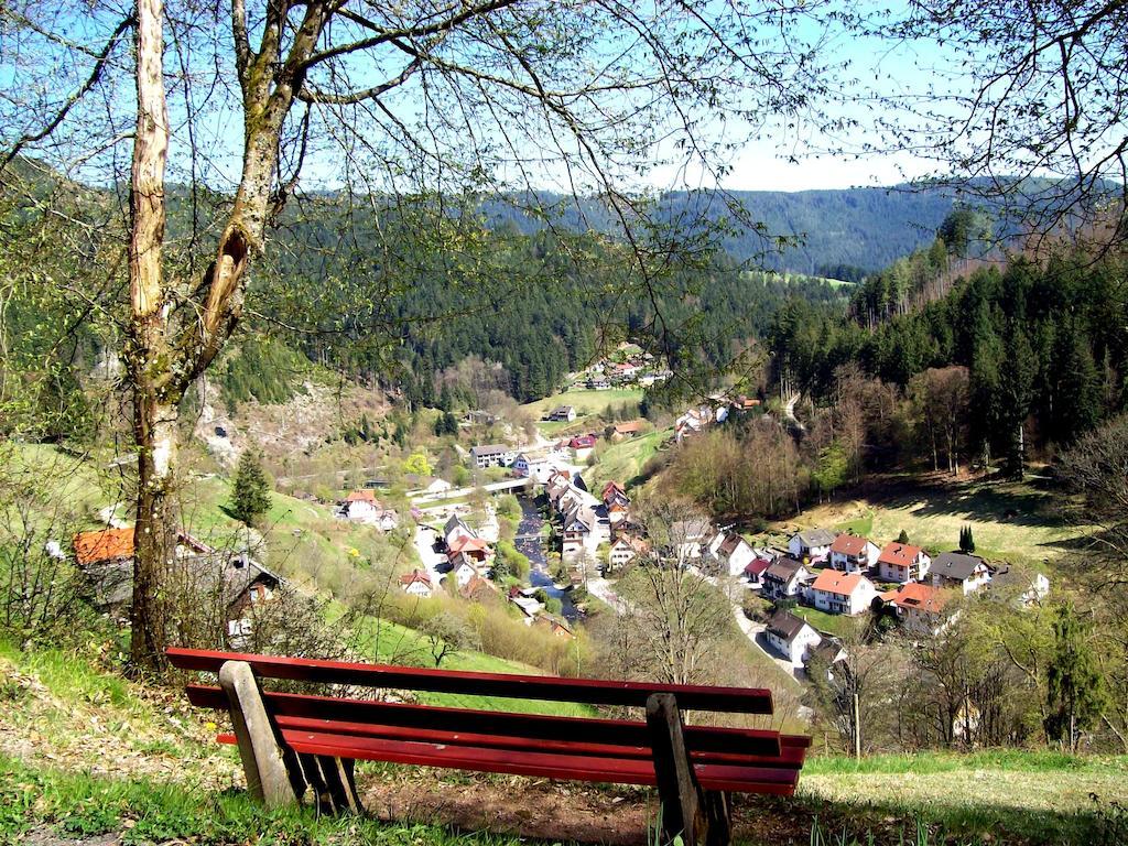 Landhaus Schwaben Schonmunzach Kültér fotó